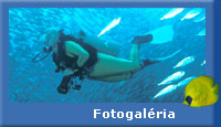 Fotogalria